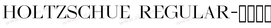 Holtzschue Regular字体转换